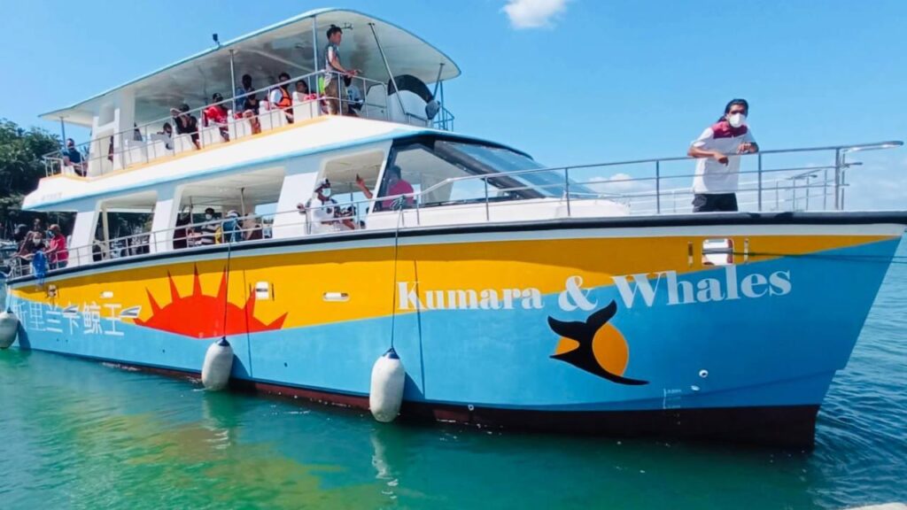 whales watching mirissa